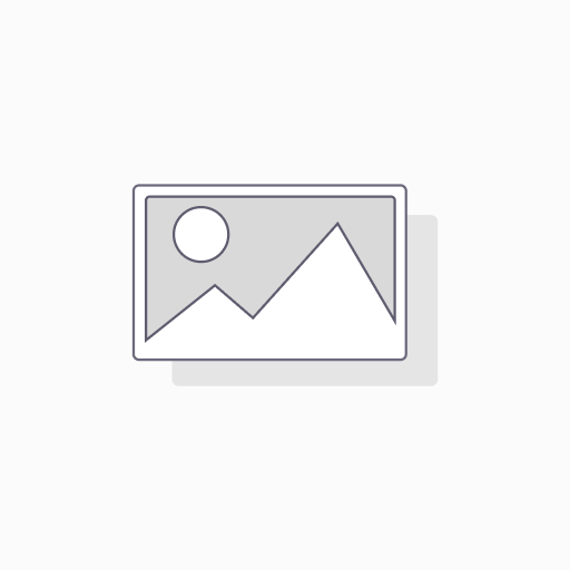 Dedicated Odoo Consultant / Developer 1 Month